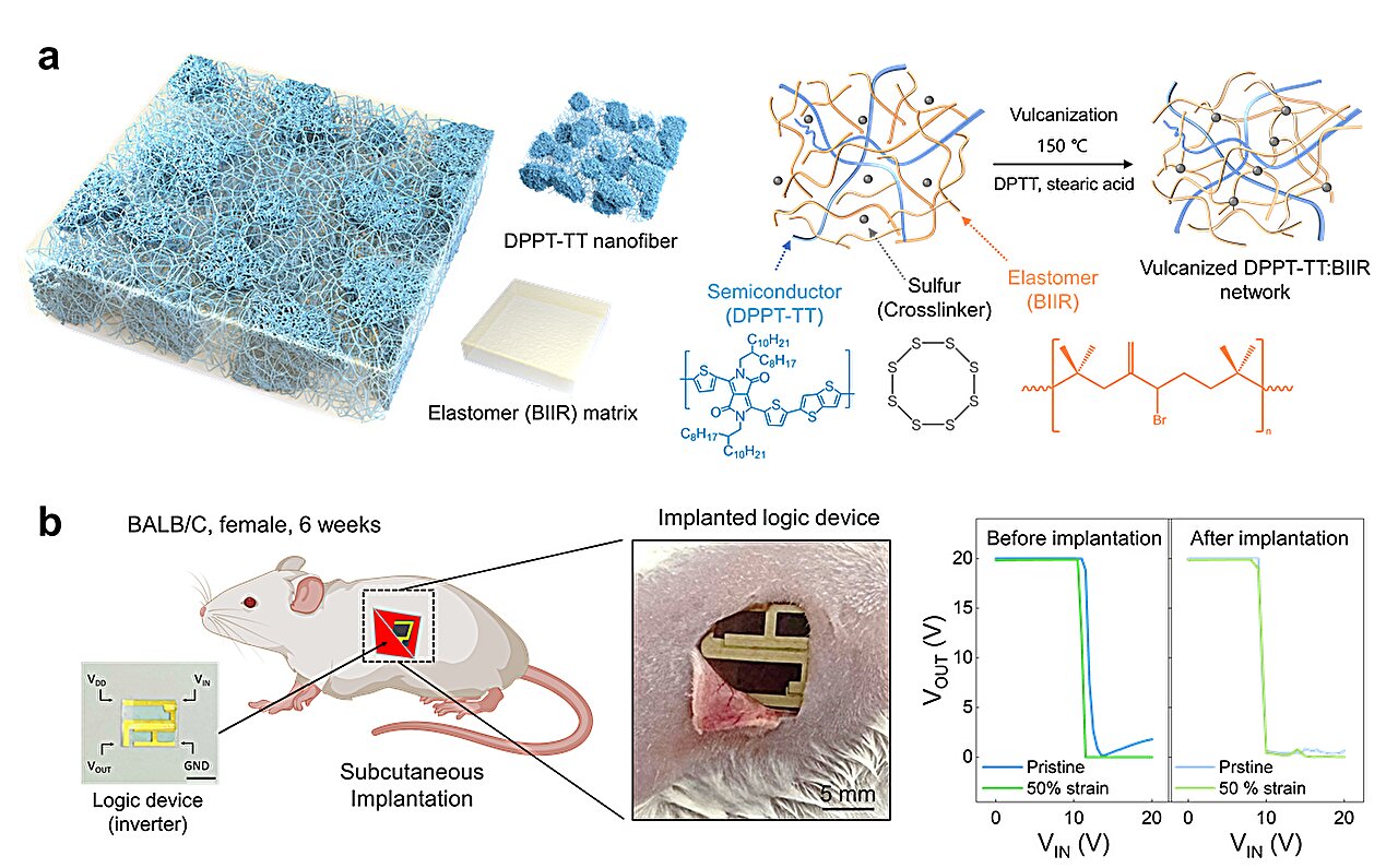 A biocompatible and stretchable transistor for implantable devices