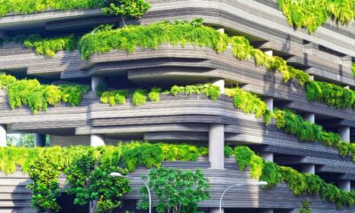 Architecture’s past holds the key to sustainable future