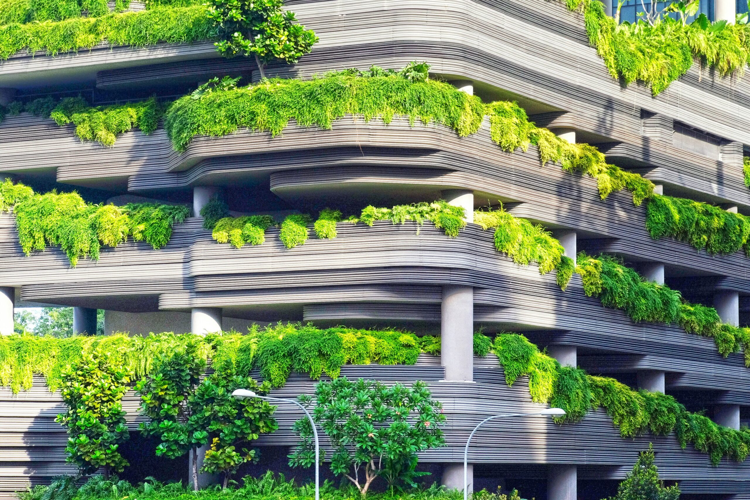 Architecture’s past holds the key to sustainable future