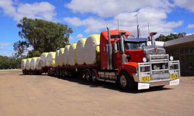 Australia’s average cotton export price falls 29% since 2022