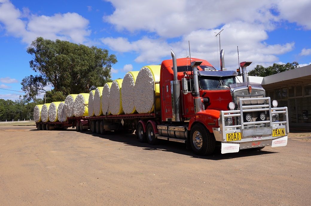 Australia’s average cotton export price falls 29% since 2022