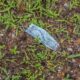 COVID’s plastic hangover is being ignored