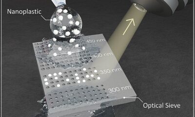 Color-changing strip enables affordable nanoplastic analysis using ordinary microscope