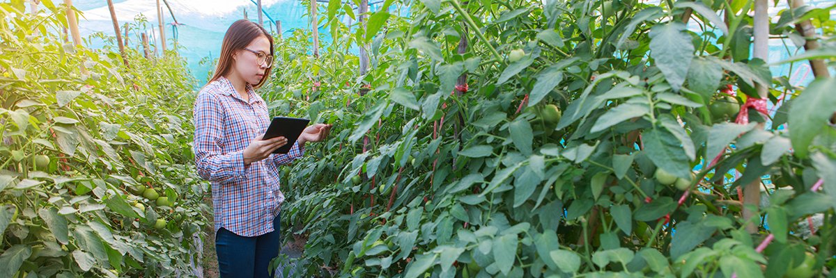 Digital Catapult sets sights on boosting AI take-up in agrifood sector | Computer Weekly