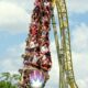 Disability played no role in man’s death after riding Universal roller coaster, lawyers say