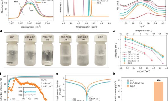 Dual-salt electrolyte enables aqueous zinc batteries to retain 93% capacity after 900 charging cycles
