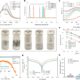 Dual-salt electrolyte enables aqueous zinc batteries to retain 93% capacity after 900 charging cycles