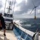 Floating wind power sets sail in Japan’s energy shift