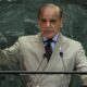 How PM Shehbaz elevated Pakistan’s global standing