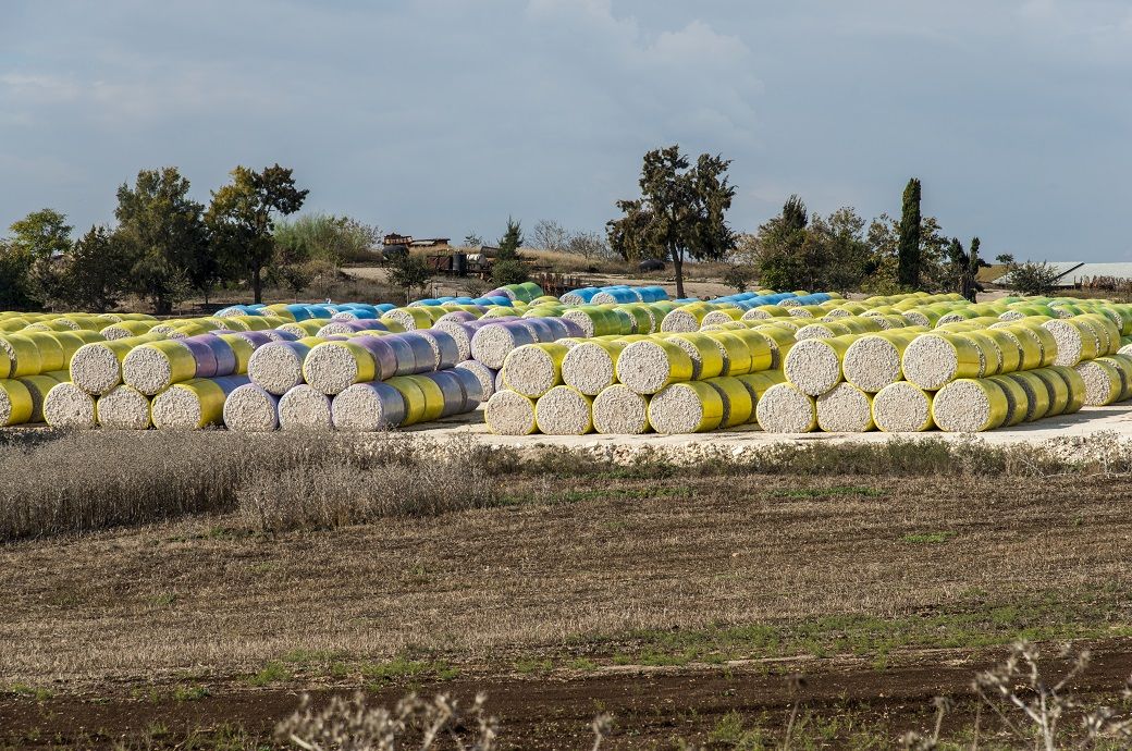 ICE cotton futures ease as harvest progress matches 5-year average