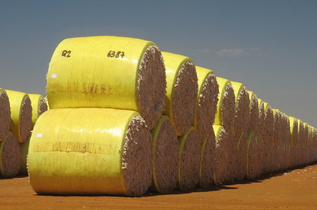 ICE cotton slips despite higher US exports, strong dollar