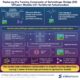 Interrupting encoder training in diffusion models enables more efficient generative AI