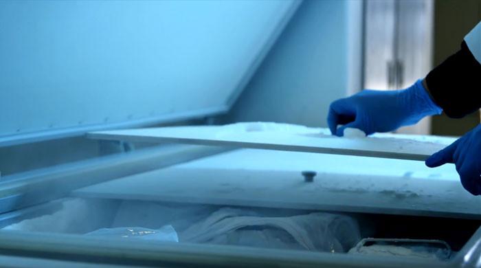 Japan arrests woman for keeping daughter’s body in freezer for 20 years