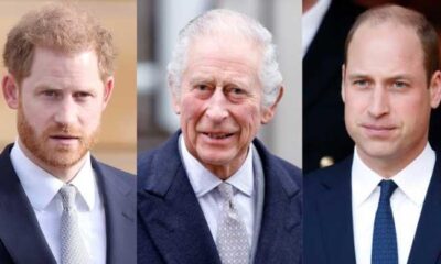 King Charles and Prince Harry meeting seen as snub to Prince William King Charles and Prince Harry meeting seen as snub to Prince William