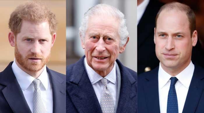 King Charles and Prince Harry meeting seen as snub to Prince William King Charles and Prince Harry meeting seen as snub to Prince William