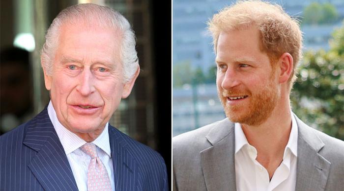 ‘King Charles does want to meet Prince Harry’ ‘King Charles does want to meet Prince Harry’