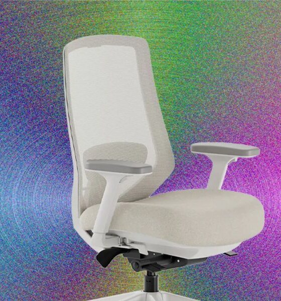 Lumbar Support Can Make a Huge Difference in Your Office Chair