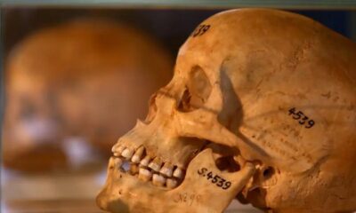 Madagascar receives skull of beheaded king returned by France