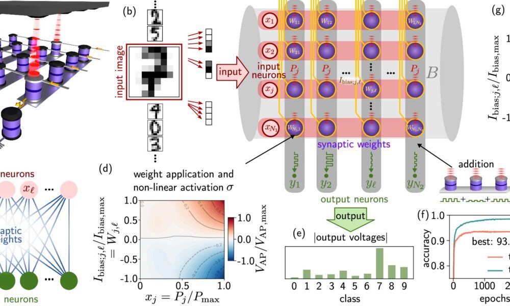 Magnetic tunnel junctions mimic synapse behavior for energy-efficient neuromorphic computing