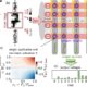 Magnetic tunnel junctions mimic synapse behavior for energy-efficient neuromorphic computing