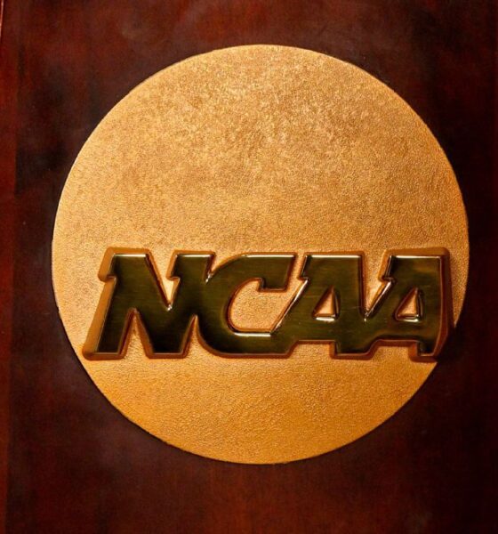 Jaouadi sets record as Florida, Indiana co-lead NCAA swim