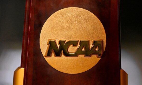 Jaouadi sets record as Florida, Indiana co-lead NCAA swim