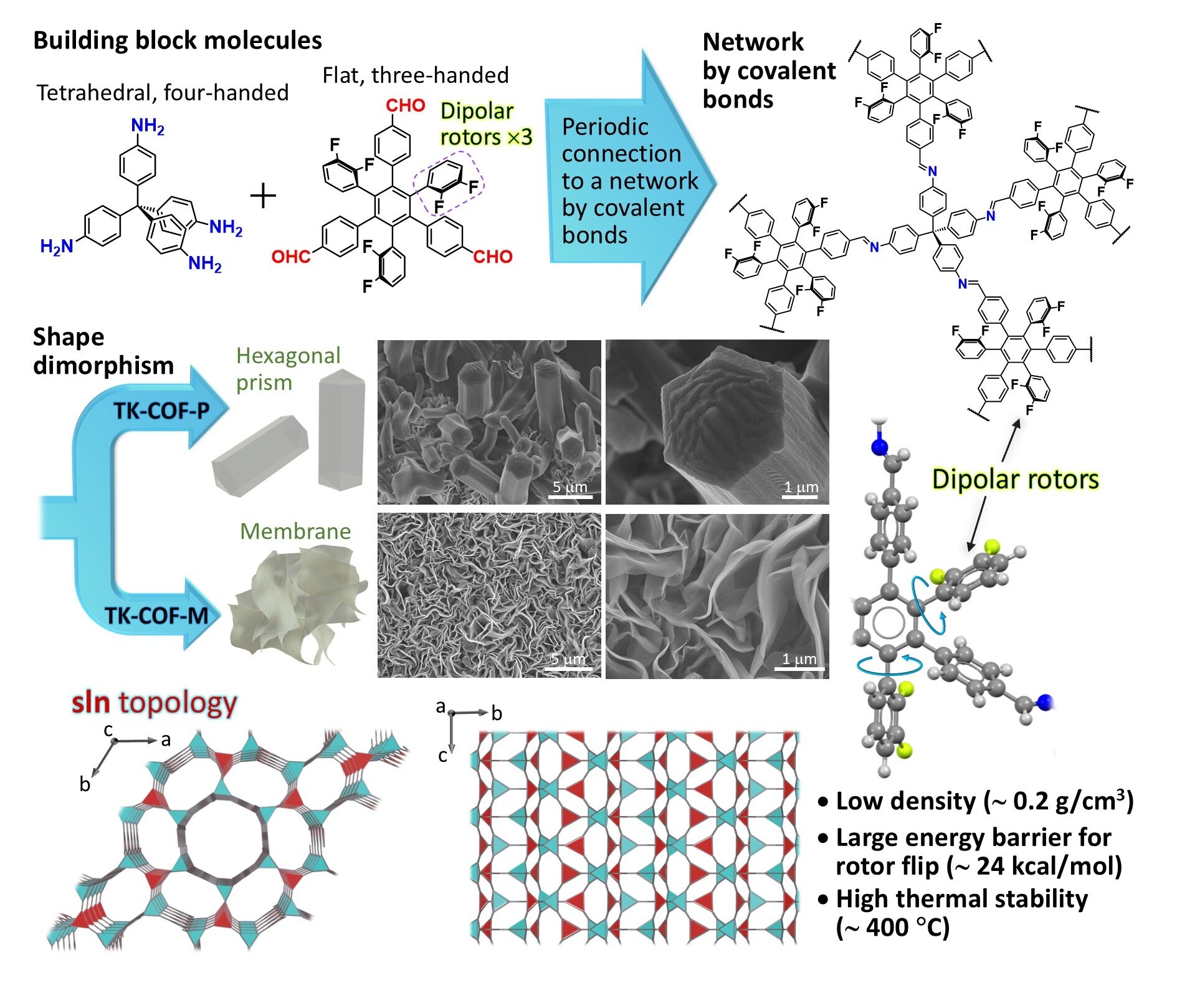 New non-volatile memory platform built with covalent organic frameworks New non-volatile memory platform built with covalent organic frameworks