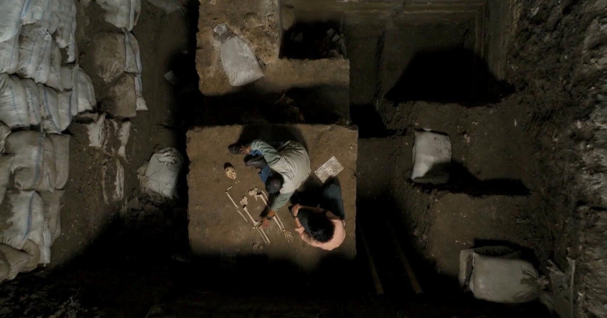 PBS series “Human” explores the journey of how we became who we are