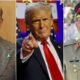 PM Shehbaz to meet Trump at White House today, US official confirms