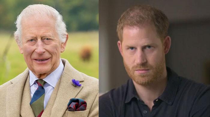 Prince Harry puts the monarchy at risk: ‘He’s weakening it!’