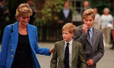 Prince Harry reflects on Princess Diana's likely reaction to his, William's rift
