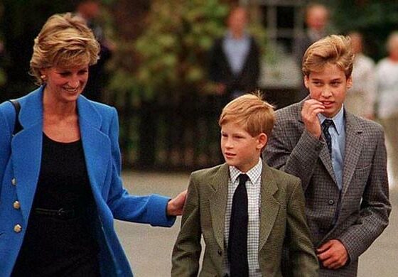 Prince Harry reflects on Princess Diana's likely reaction to his, William's rift