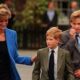 Prince Harry reflects on Princess Diana's likely reaction to his, William's rift