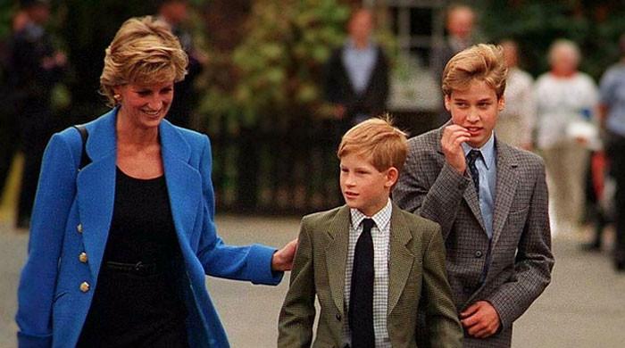 Prince Harry reflects on Princess Diana's likely reaction to his, William's rift