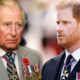 Prince Harry releases strong statement after King Charles decision