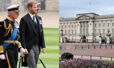 Prince Harry sparks concern at Palace