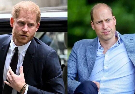 Prince William unlikely to reconcile with Harry anytime soon