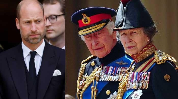 Princess Anne’s unveiling of King Charles portrait casts spotlight on William