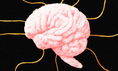 Psychological Tricks Can Get AI to Break the Rules
