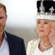 Queen Camilla sends Prince Harry a message after King Charles meeting