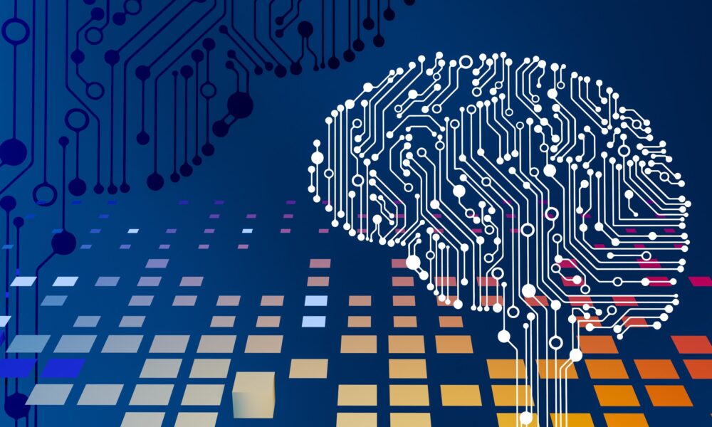 Similarities between human and AI learning offer intuitive design insights