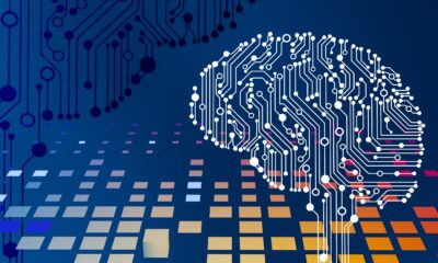 Similarities between human and AI learning offer intuitive design insights