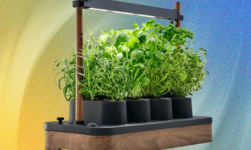 The Auk Mini Herb Garden Is the Perfect Cooking Companion