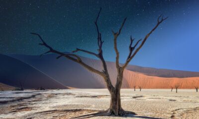 Three reports released supporting Namibia’s green hydrogen ambitions