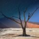 Three reports released supporting Namibia’s green hydrogen ambitions