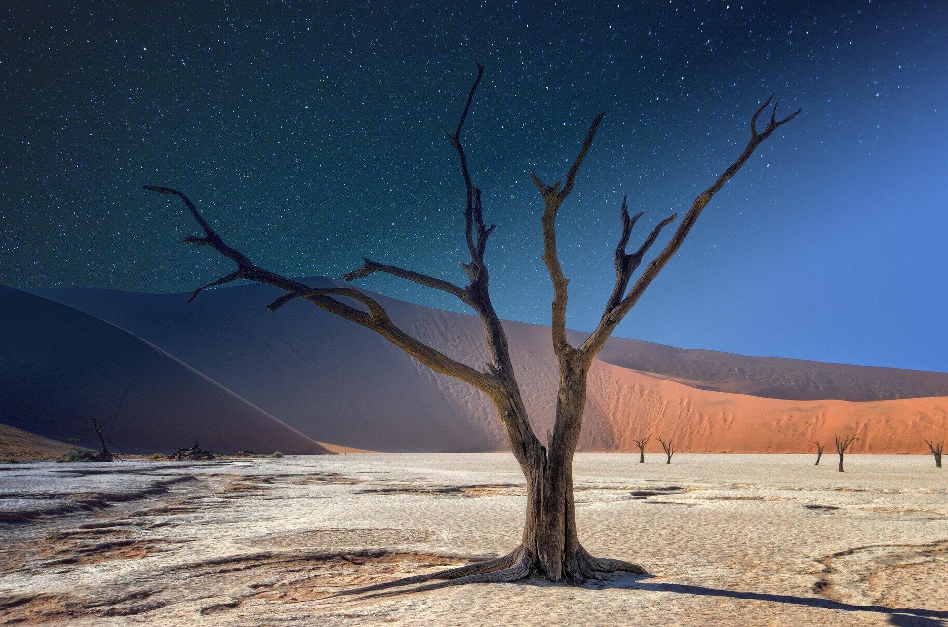 Three reports released supporting Namibia’s green hydrogen ambitions Three reports released supporting Namibia’s green hydrogen ambitions