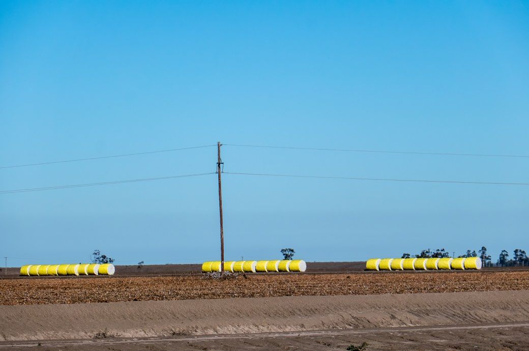 US Upland cotton sales up 36%, Pima down this week: USDA US Upland cotton sales up 36%, Pima down this week: USDA
