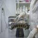 Greek wildlife suffers as climate changes