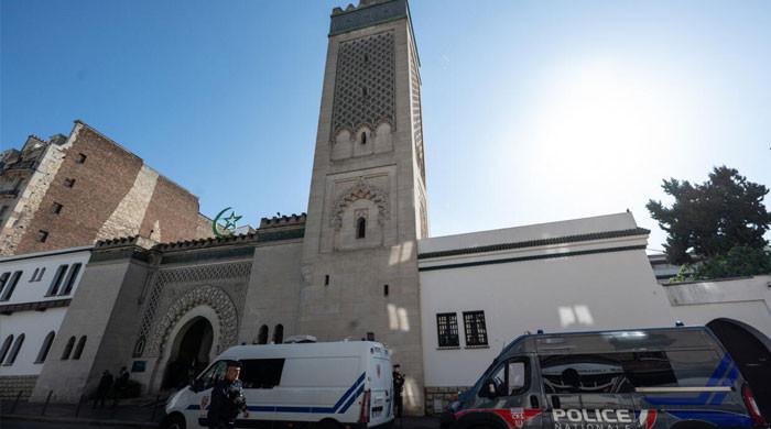 At least nine pig heads left outside mosques in Paris region: police