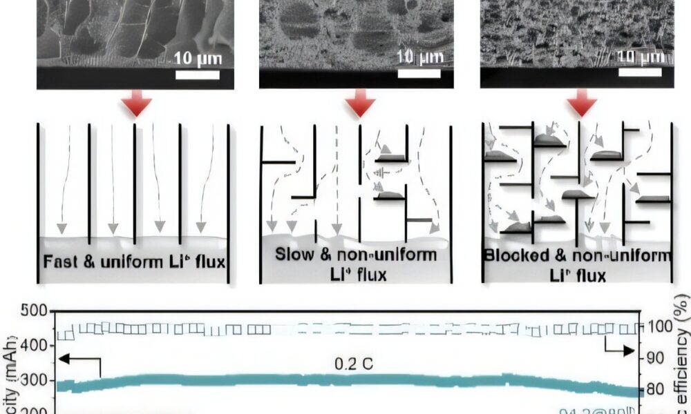 3D porous structure promises safer, longer-lasting lithium-metal batteries for electric vehicles